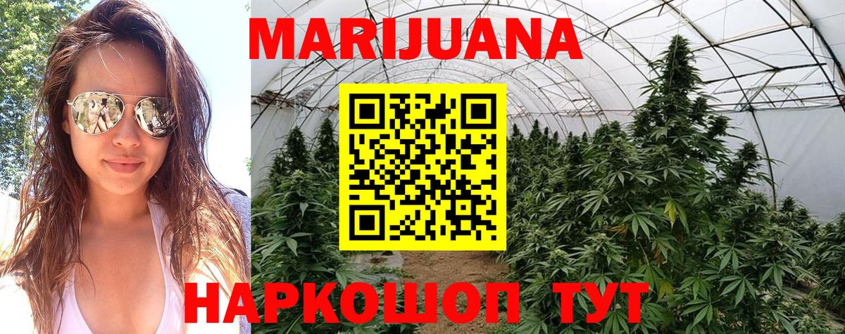 Конопля Bruce Banner Елабуга
